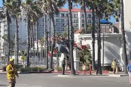 Helicopter Crashes in California, Gets Wedged Between Building and Palm Tree