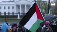 Most in US support Palestinian state recognition: Survey