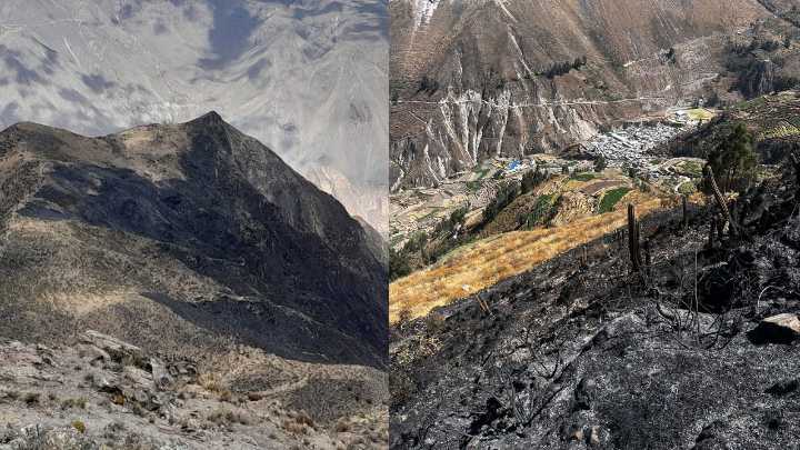 Incendios forestales afectaron varias provincias de Arequipa