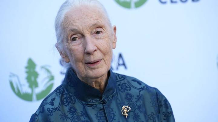 Jane Goodall’s cause of death revealed: report