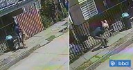Grave caso de maltrato animal en Curanilahue: Hombre arrastró y golpeó a su perro en plena calle