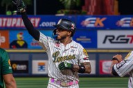3 artilleros se unen a los Leones del Caracas para fortalecer el lineup en esta tercera semana