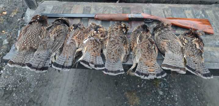 What makes a ‘good’ grouse season in Maine?