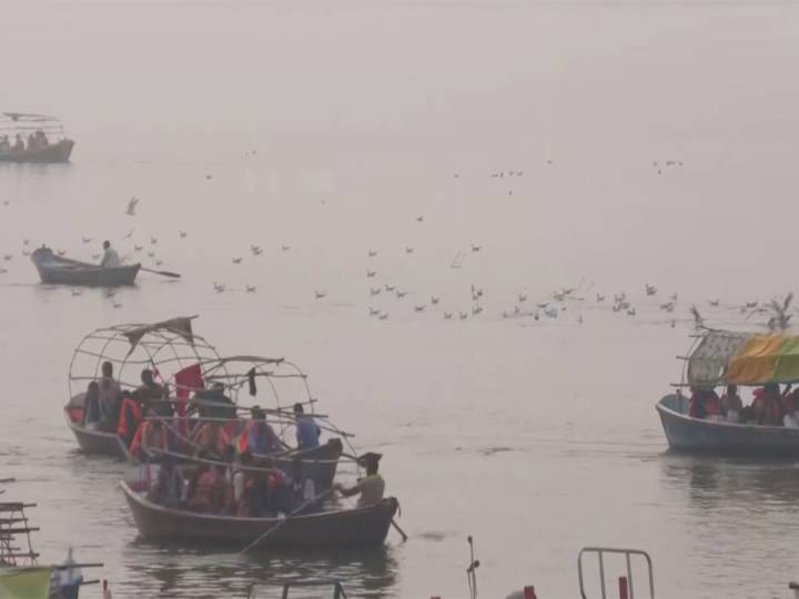 Siberian birds arrive at Prayagraj Sangam, delighting locals