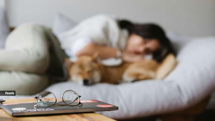 ‘Every time I hear my ringtone, it triggers me’: Why some people feel crippling anxiety when their phone rings, prefer texts, voice notes over calls
