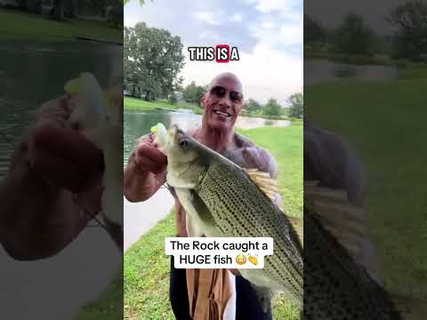 Wait for it 😯 (via @therock/TT)