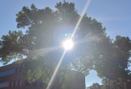 Iowa’s Forecast Hardly Feels like Fall after Hot, Dry September