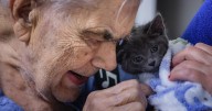 KittyMom Cat Rescue brings joy to senior homes in the Flathead