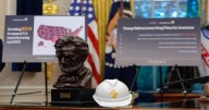 AstraZeneca Strikes Historic U.S. Drug Deal with Trump, Pledges Billions in Investment