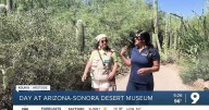 KGUN 9 News Anchor Callahan mentors UA journalism student on drought story