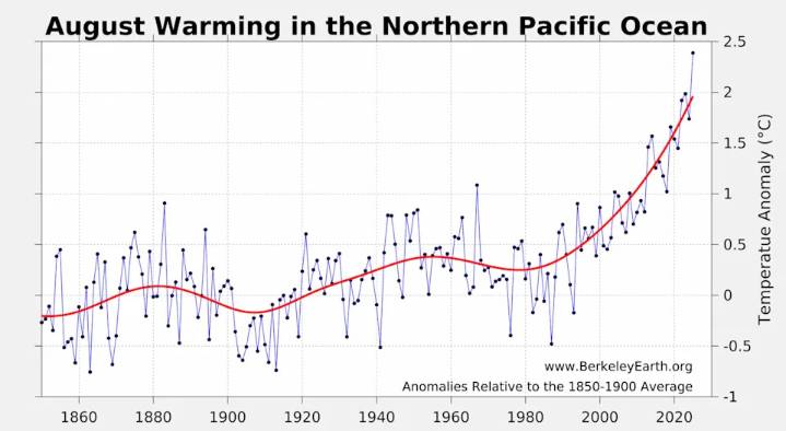 The blob is back in the Northern Pacific Ocean: What does that mean for B.C.?