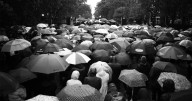 'The rain could only mask the tears, but nothing could hide the anger'
