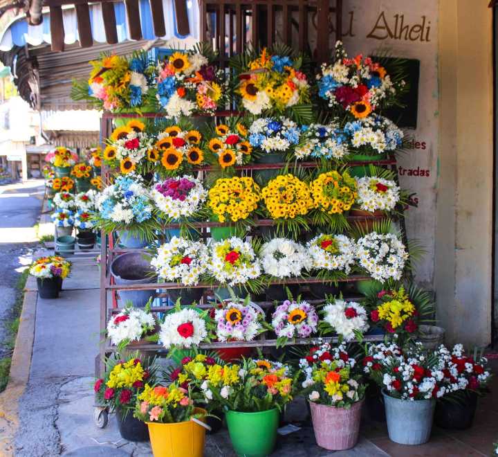 Floristerías apuestan por precios solidarios ante la caída de las ventas