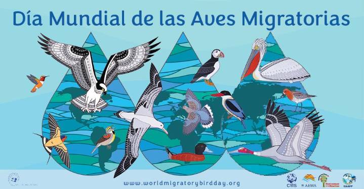 Crear entornos amigables con las aves aporta salud al planeta