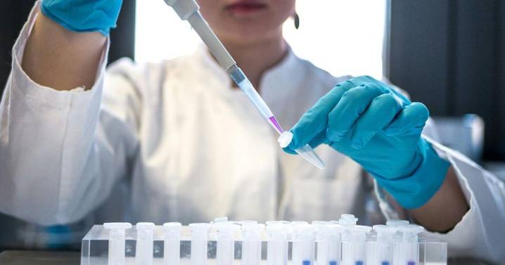 Three scientists win Nobel Prize for unlocking secrets of human immunity