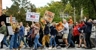 'No Kings' rallies draw crowds around Capital Region