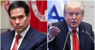 Donald Trump Snaps at Little Marco for Not Sucking Up Hard Enough Over Ceasefire