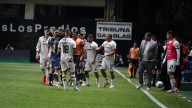 Newell's: Lucas Bernardi fue confirmado y ahora debe reconstruir el equipo, con bajas desde el inicio
