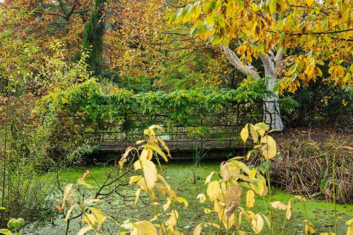 The arboretum that's been 30 years in the making by a dedicated, passionate family who are dreaming of what it could be in 3,000 years' time