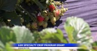 Washington secures USDA grant for specialty crop projects