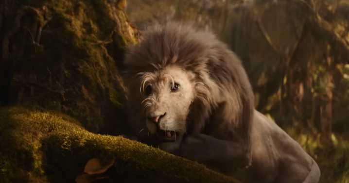 Colman Domingo Will Be the Cowardly Lion in Wicked: For Good