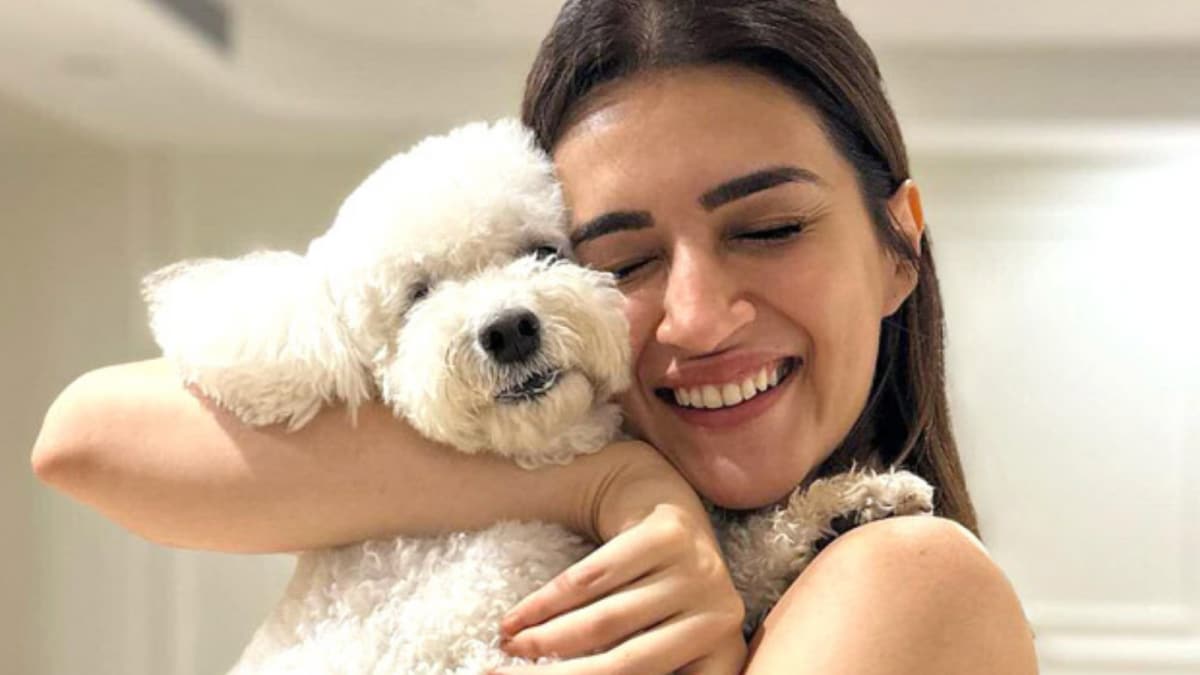Simple Ways To Make This Diwali Paw