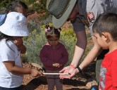 A Grand Junction pre-K in a test "forest" teaches kids "how to do school"