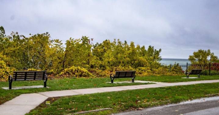 Waterfront views with no view? Solution sought for blocked sight lines of lake in Port Dalhousie