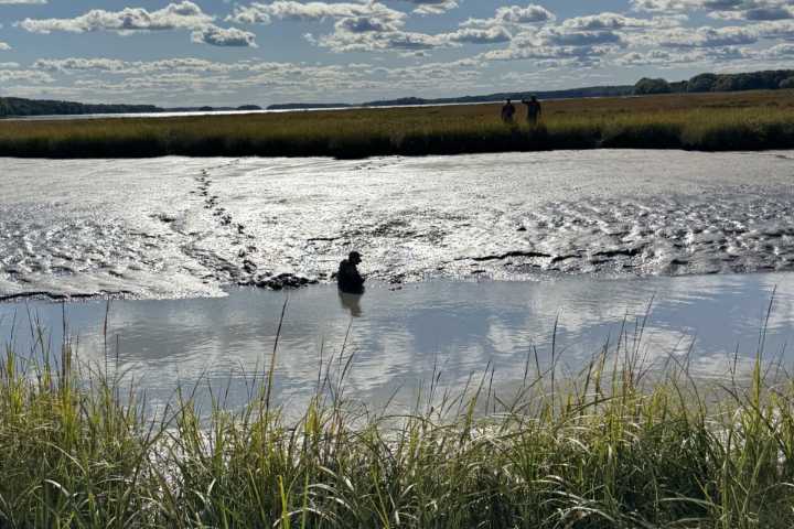 Duck hunter rescued after sinking to waist in Brunswick mudflats