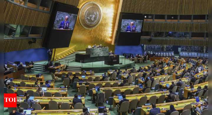 UN peacekeepers’ meet: India doesn’t invite Pak, China; reiterates troop policy
