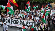 Senator Lidia Thorpe threatens to ‘burn down’ parliament for the pro-Palestine cause despite Gaza peace deal