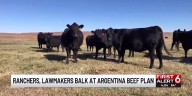 Nebraska lawmakers, farmers push back on Trump’s plan to import Argentine beef