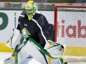 LIVE: London Knights vs. Ottawa 67s | The Shoreline Beacon