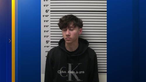 Porterville man accused of being in online network linked to exploitation of teens, animal cruelty