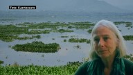 Reformas a Ley de Aguas protegen a grandes concesionarios y excluyen a mayorías: Elena Burns