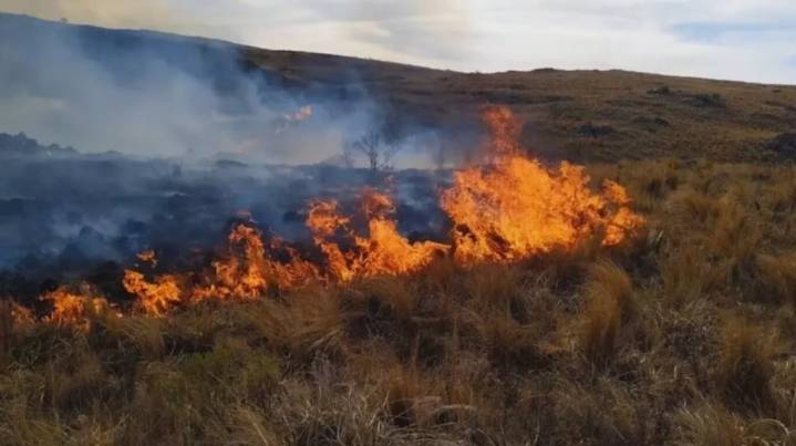 La Sociedad Rural pidió combatir los incendios en Córdoba y apuntó contra sectores ambientalistas
