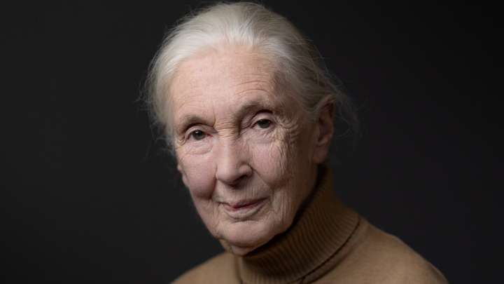 Jane Goodall Cause of Death: Legendary Conservationist Was 91