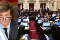 Memes y festejo por otro revés para Milei: el Senado también rechazó el veto a la Emergencia Pediátrica y al Financiamiento Universitario