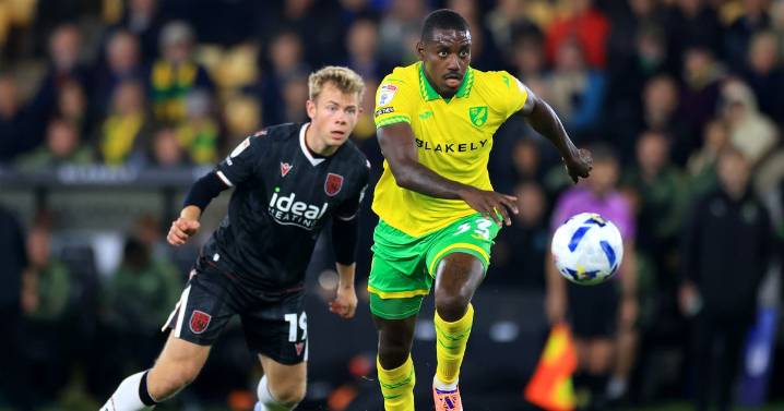 Norwich defender reportedly set to miss Bristol City visit after injury on international duty