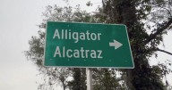 Government blames clerical error for 'Alligator Alcatraz' complaints