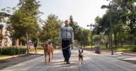 ¿Cuál es la alcaldía más segura de CDMX? INEGI reporta percepción de seguridad