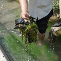 Vast reserves, but little to drink: Tajikistan's water struggles