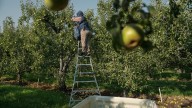 As heat gets more extreme, pregnant farmworkers are increasingly at risk