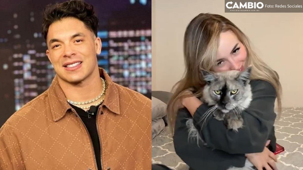 ¡Ni flores ni anillo! Jawy conquistó a su prometida con un gato ruso de lujo