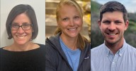 Aspen school board candidates explain why they ran
