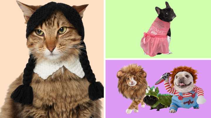 Top 2025 Halloween pet costumes for cats, dogs and more