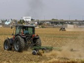 Producción para el Bienestar otorga de 6 mil a 24 mil pesos a campesinos; ¿Cómo obtener el beneficio?