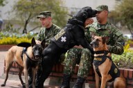Soldados colombianos encuentran consuelo en perros de apoyo emocional