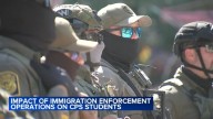ICE Chicago today: CTU says immigration crackdown impacting attendance at CPS, schools are safe