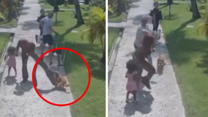 Hombre empuja a una mujer por defender a su hija del ataque de un perro